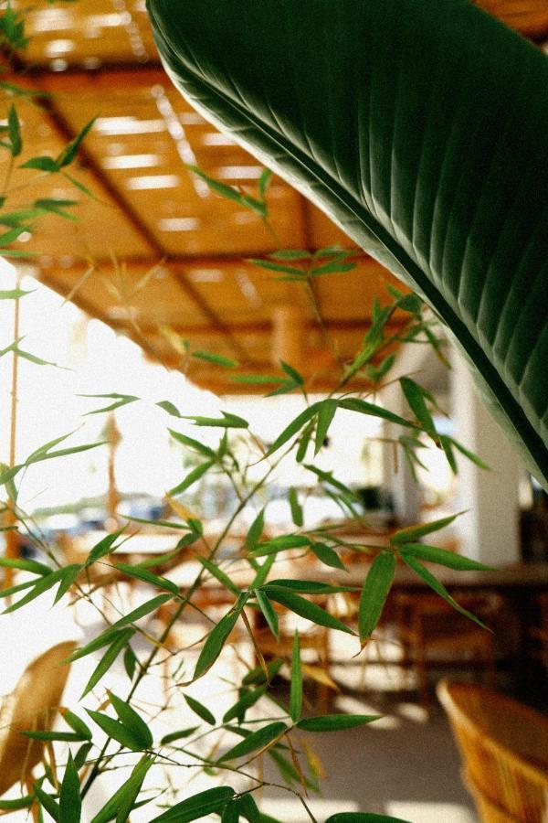 Hotel Ionian เดอร์มี ภายนอก รูปภาพ
